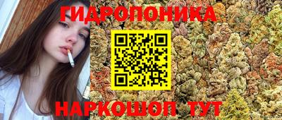 твердый Пугачёв