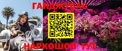 PSILOCYBIN Пушкино