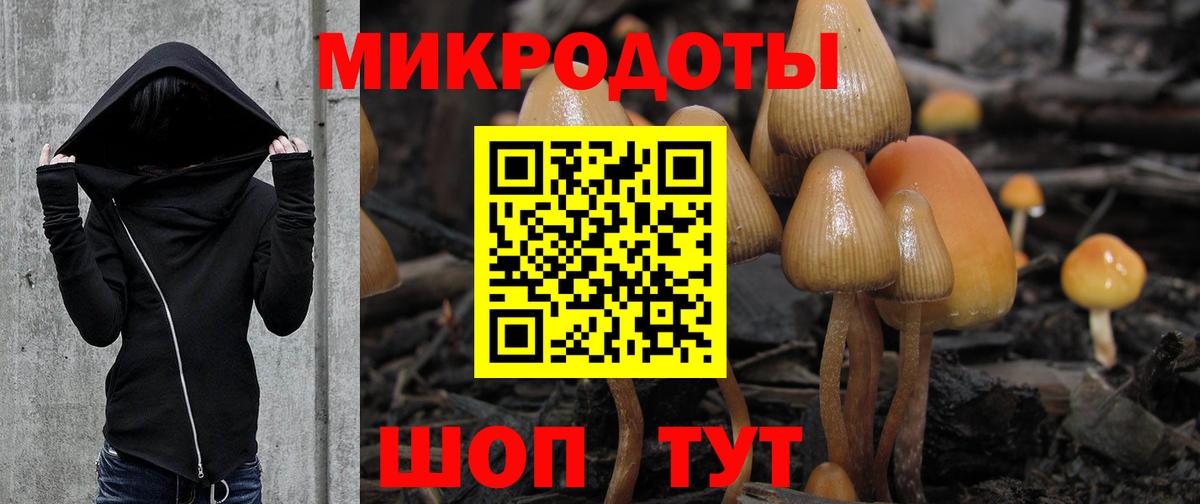 Псилоцибиновые грибы MAGIC MUSHROOMS Чайковский
