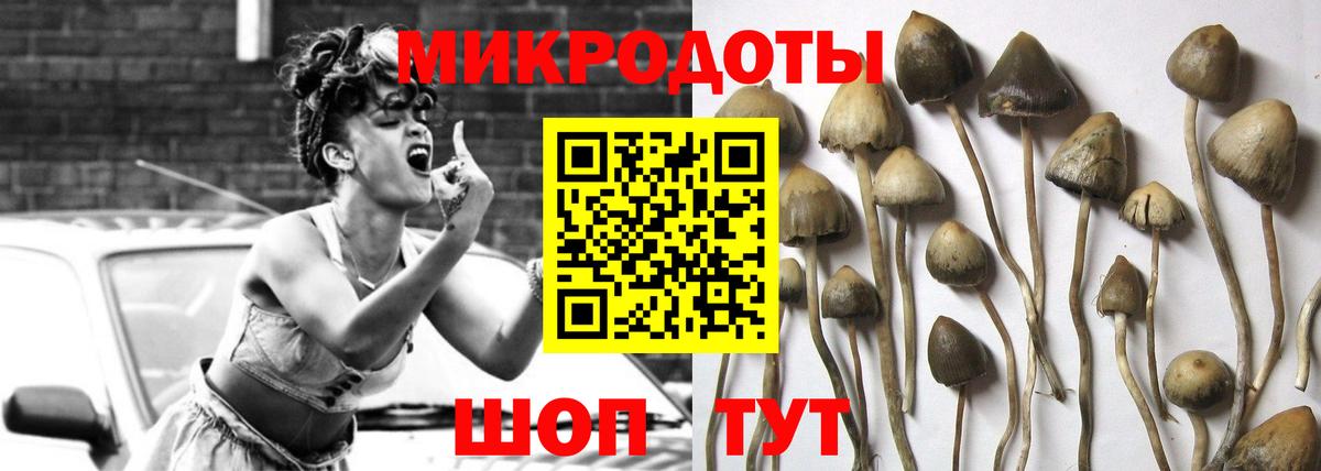 Чайковский  Галлюциногенные грибы Magic Shrooms  Вход с VPN 